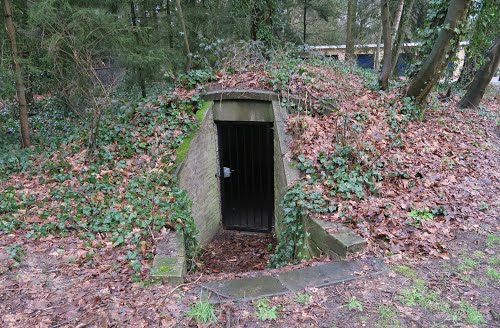 Dennenhorst