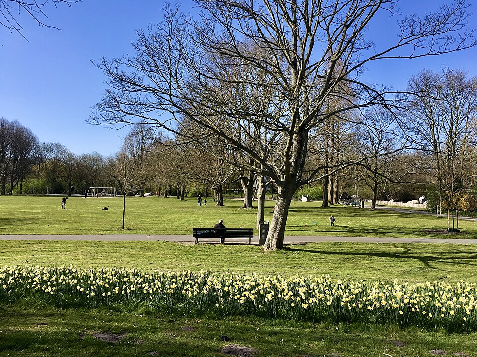 Park Vlaskamp
