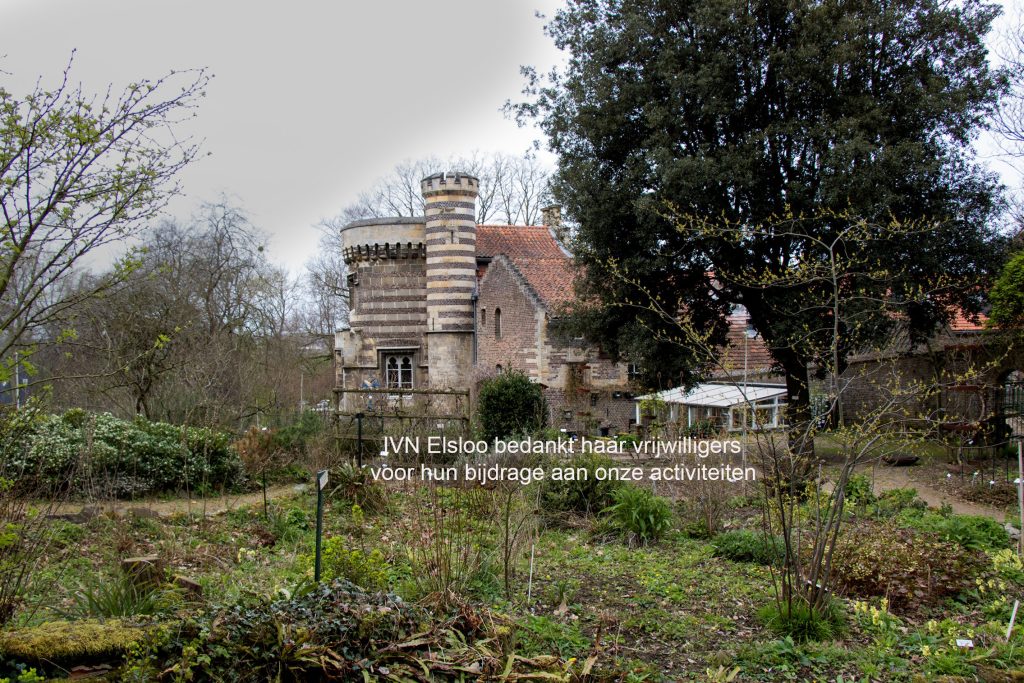 Botanische tuin
