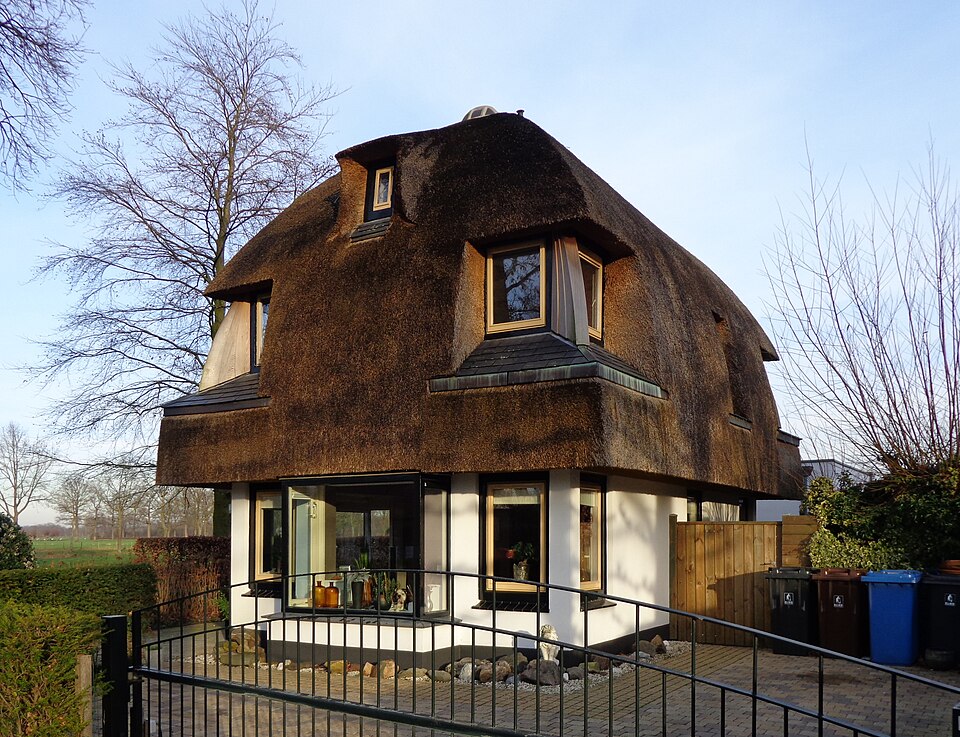 Rhijnauwen