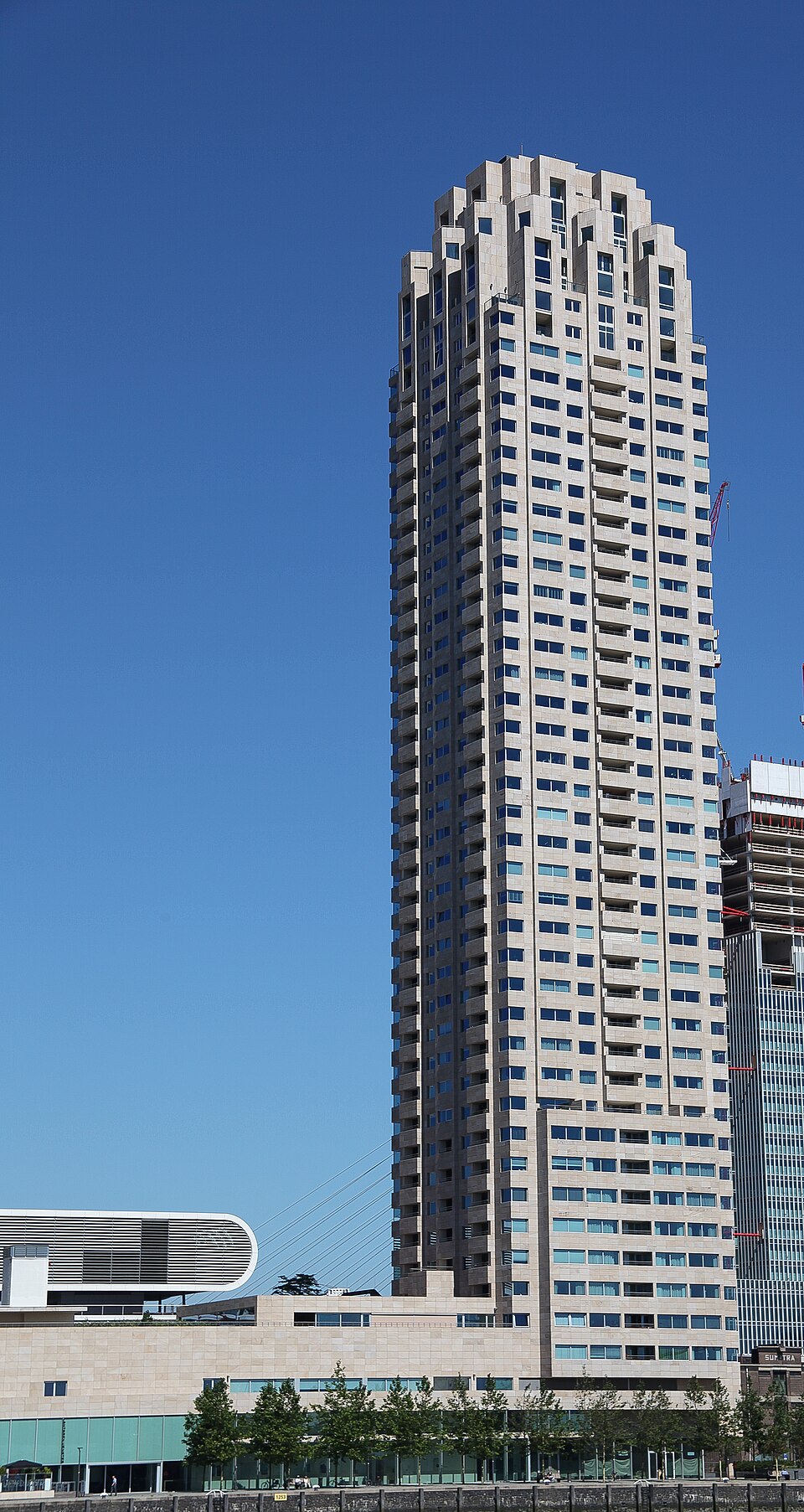 Rijnhaven zwemgebied
