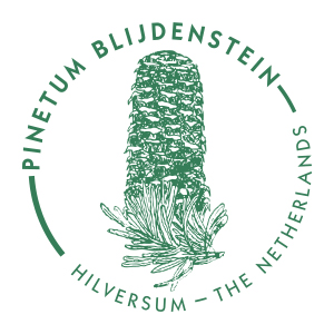 Pinetum Blijdenstein