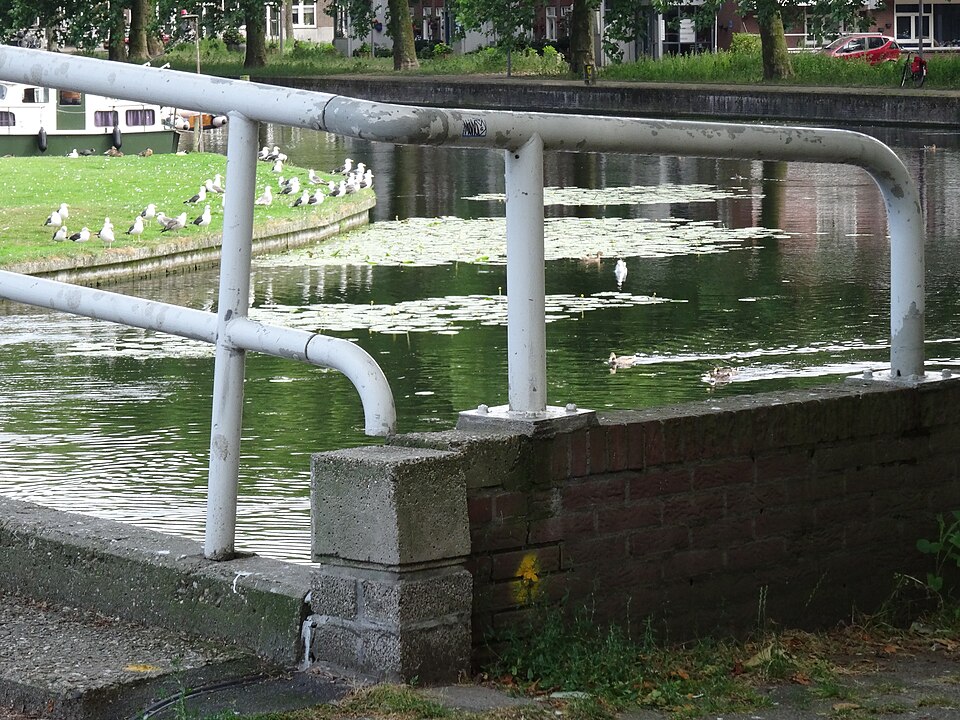 Zwaanshalspark