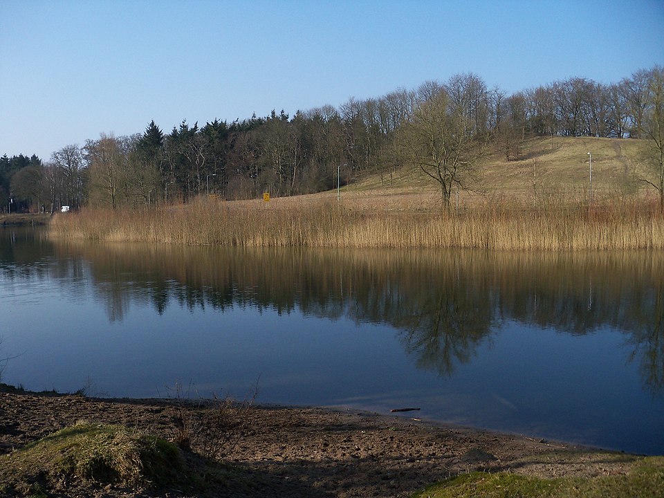 Anna's Hoeve