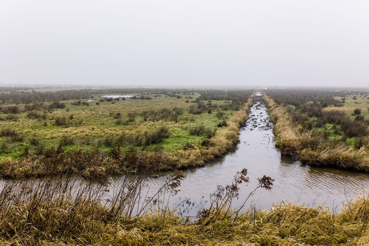 Onnerpolder