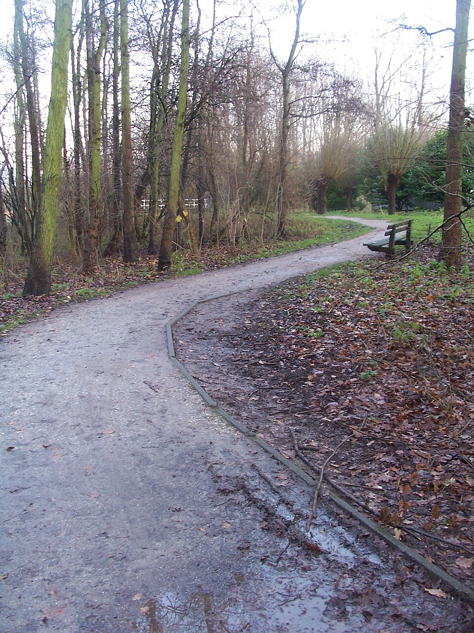 Delftse Hout