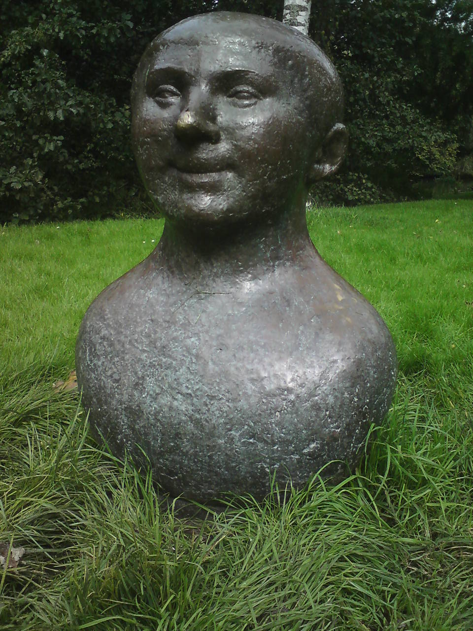 Bolgewas