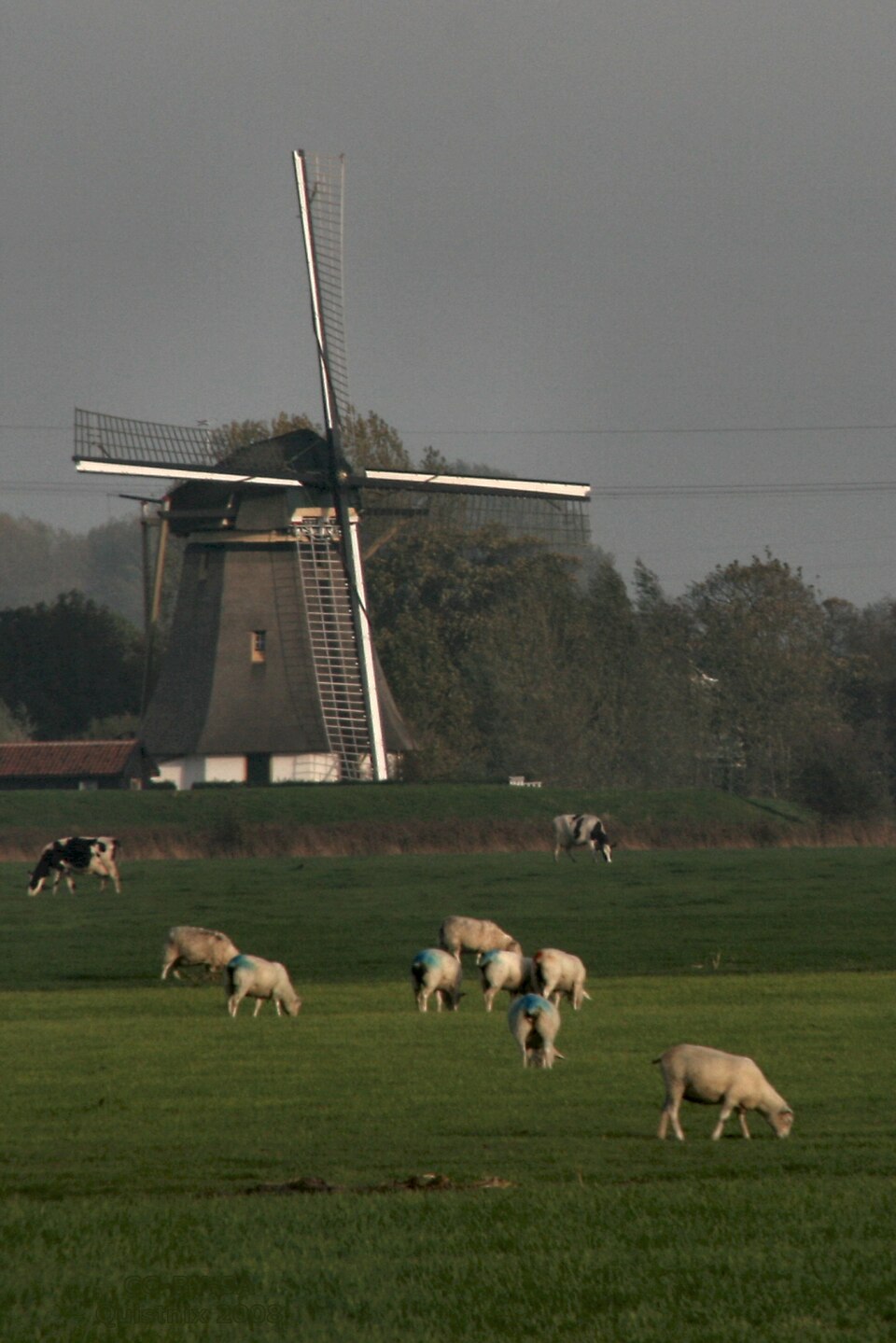 Oostzijdse Molen