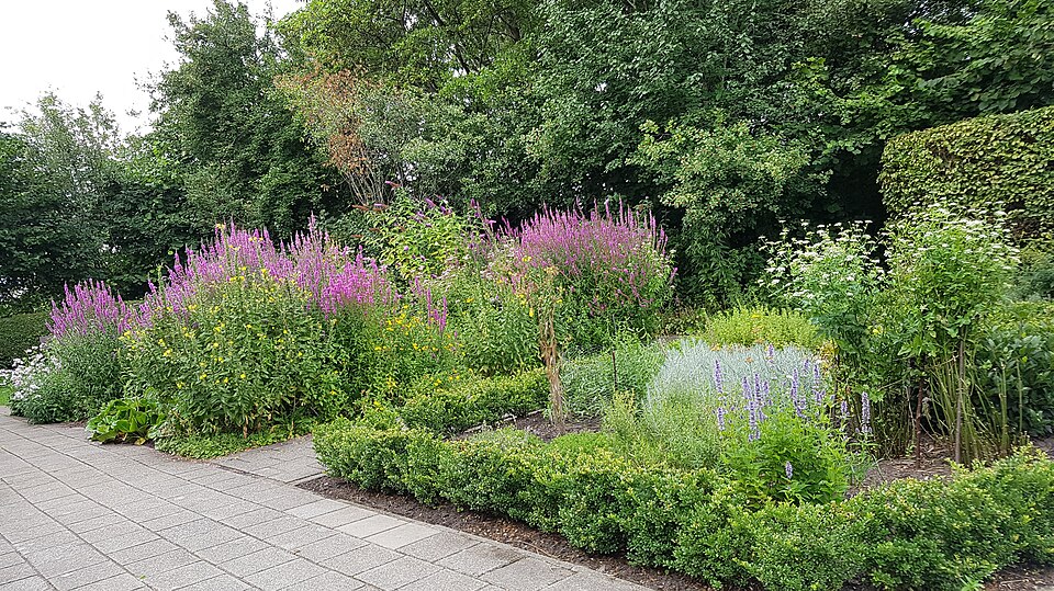 Heemtuin