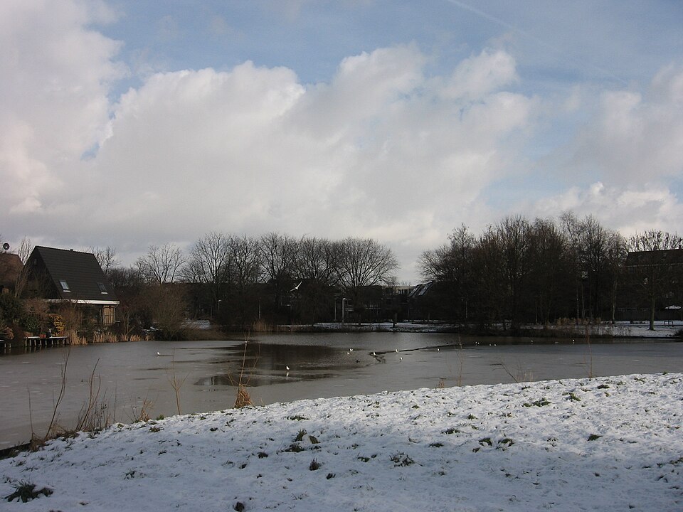 Het Schollebos