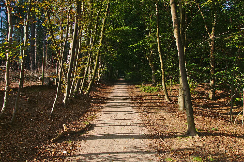 Westerveld