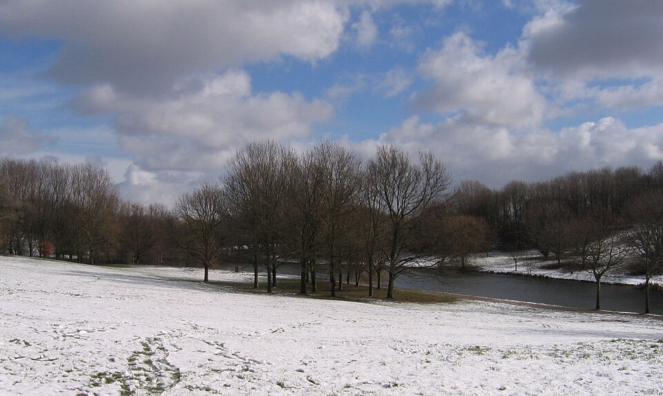 Elsenburgerbos