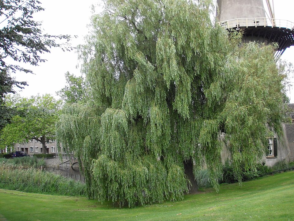 Strickledepark