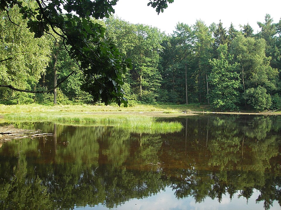 Geeneindsche Heide
