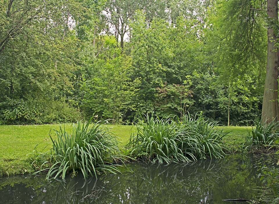 Tutein Noltheniuspark