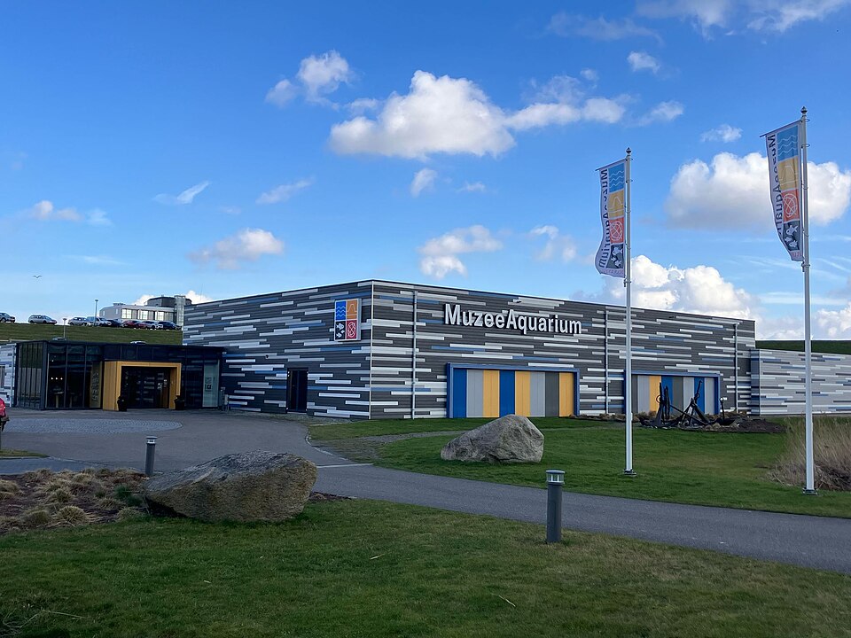 MuzeeAquarium