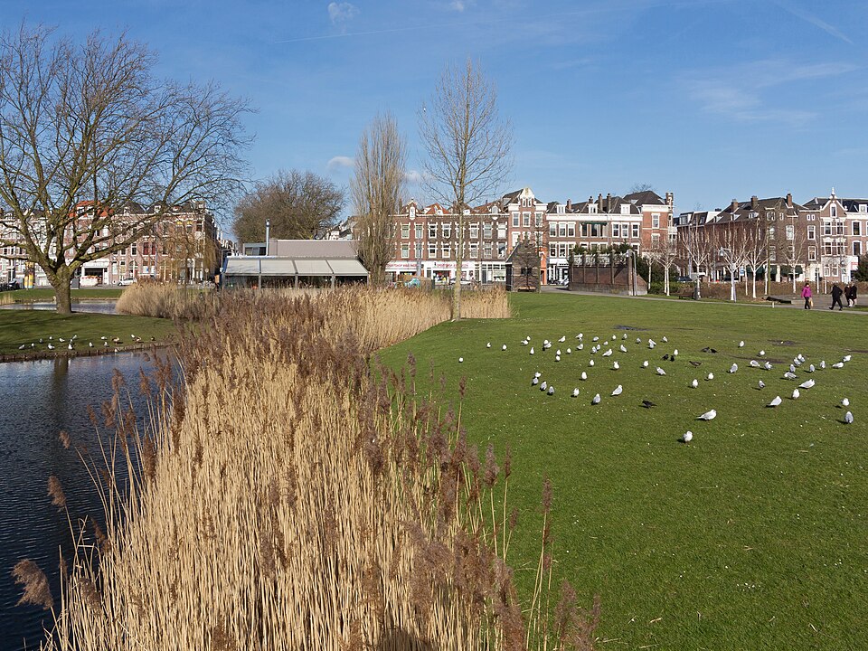 Nieuwe Plantage