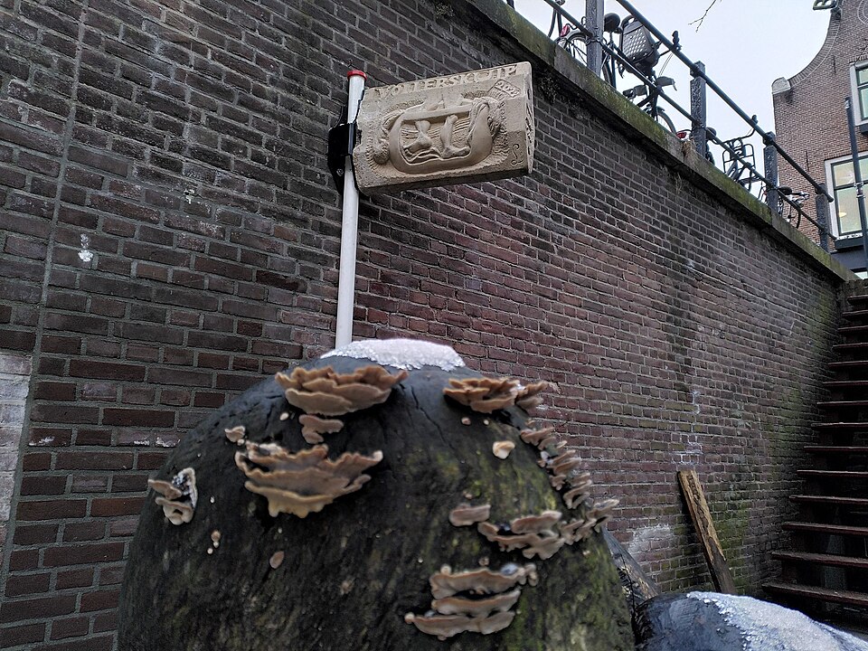 Vollerskuip