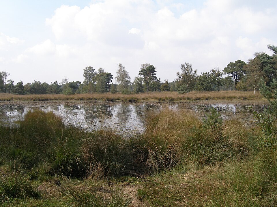 Kampina