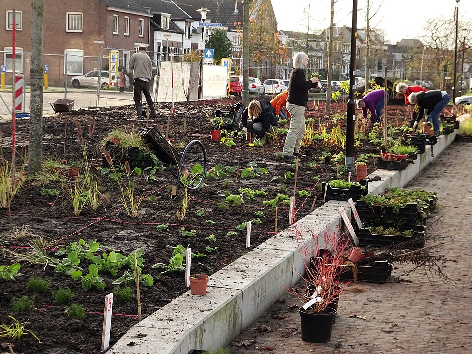 Vlindertuin De Zindering