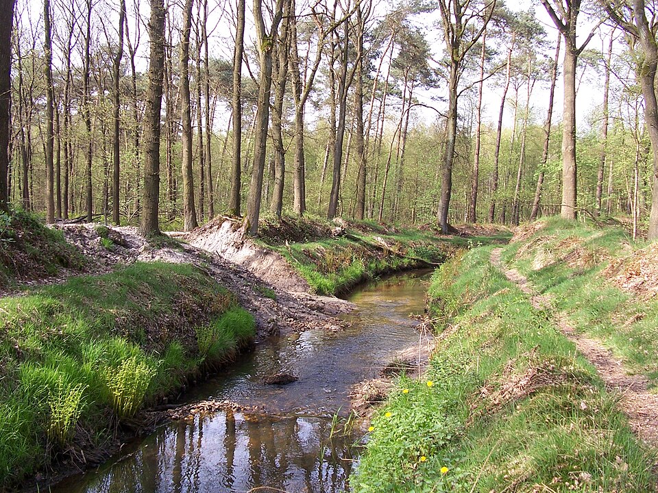 Weerterbos