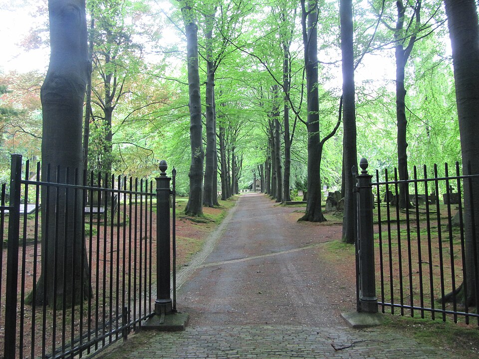 Rozendaalse Bos