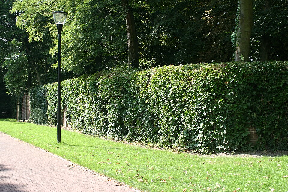 Buitenplaats Hadriani