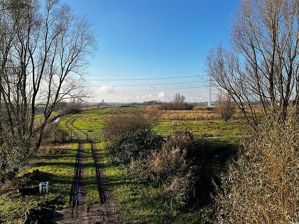 Elfenbaan