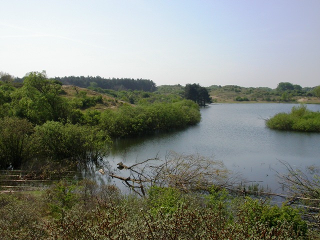 Wisenten Kraansvlak