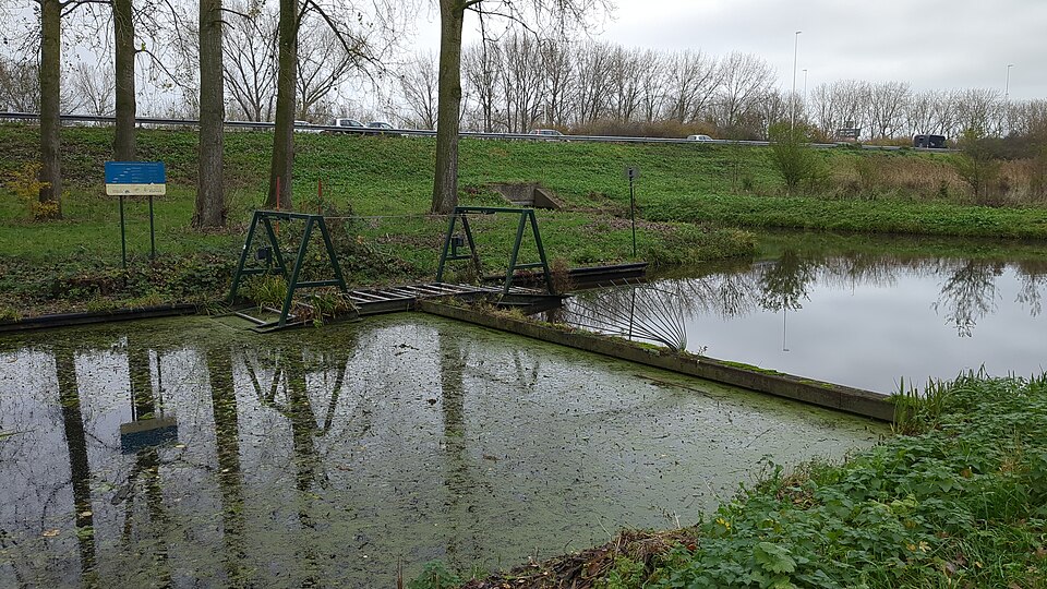 Reeuwijkse Hout