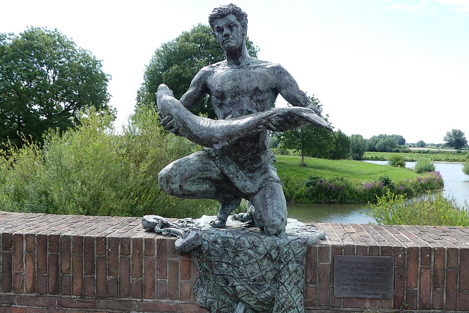 Zalmvisser