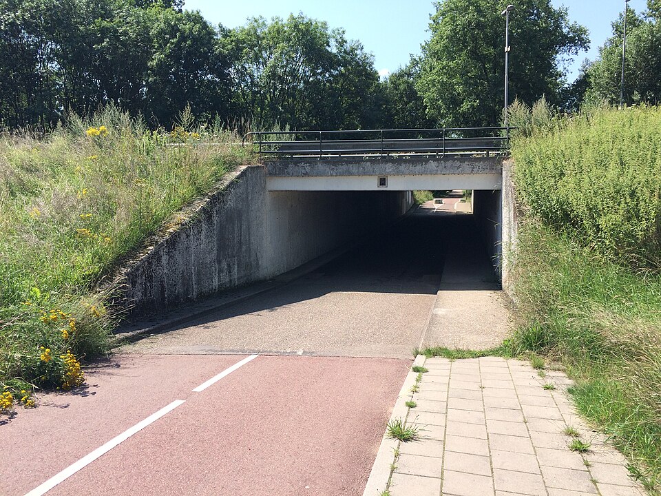 Hondensportveld