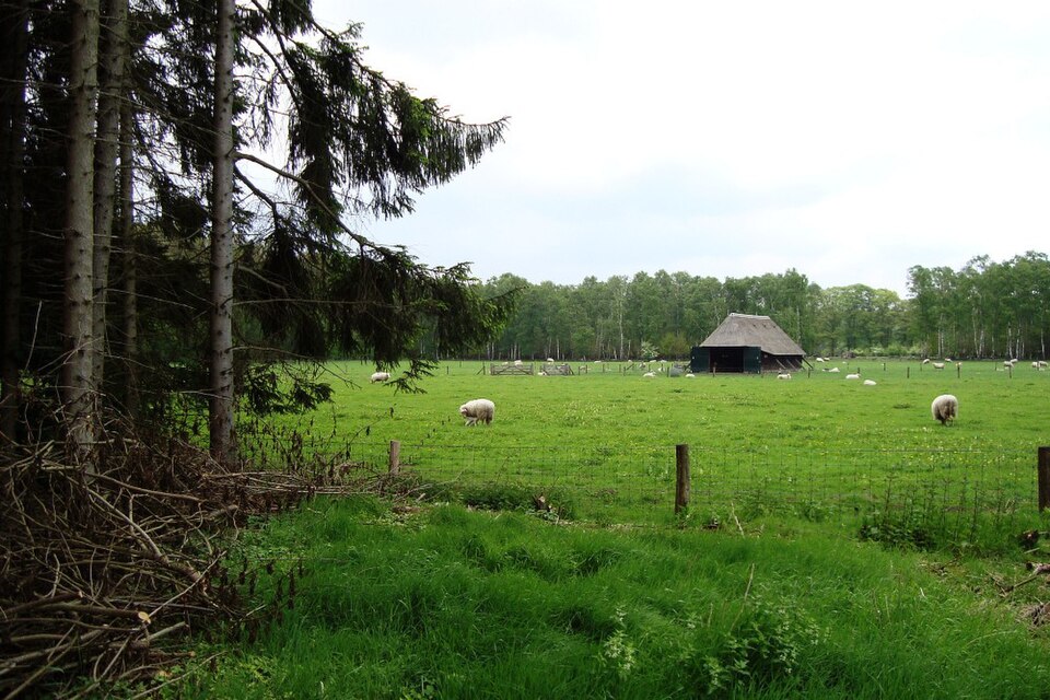 Westerheide