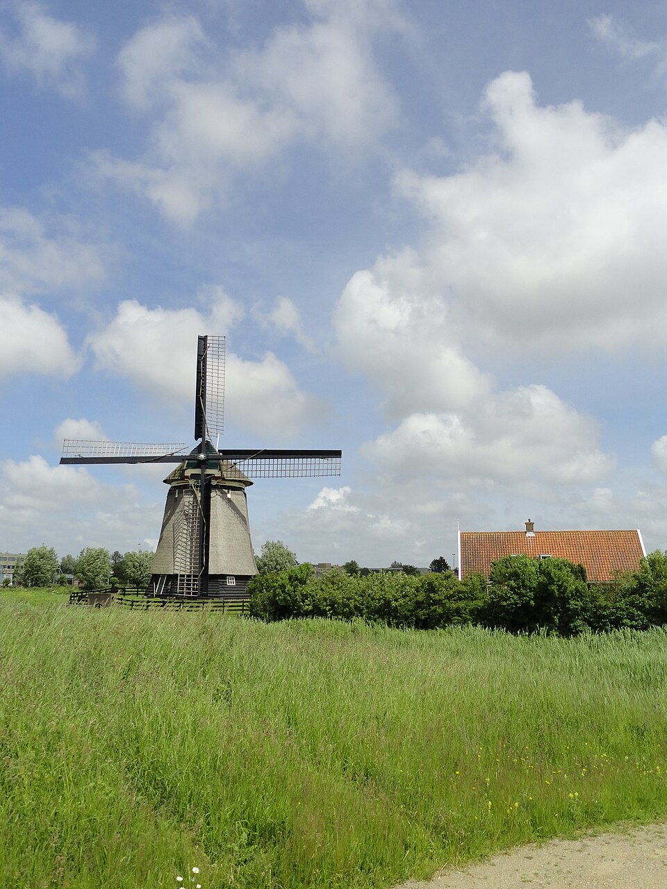 De Viaanse Molen