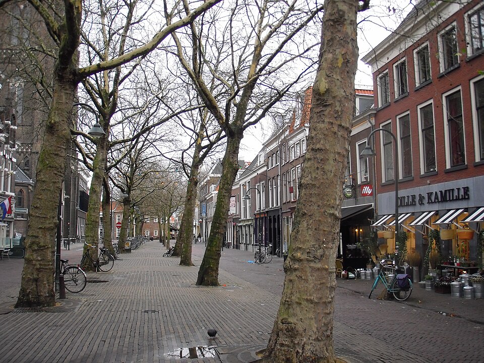 Burgwal