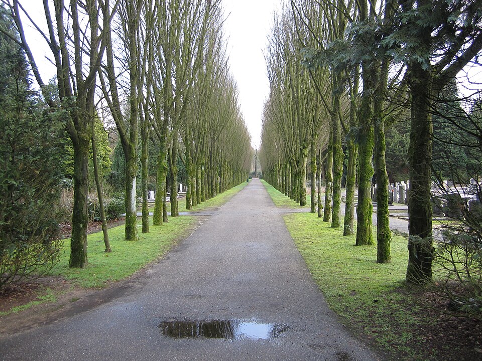 Ermelosche Zand - Schietberg