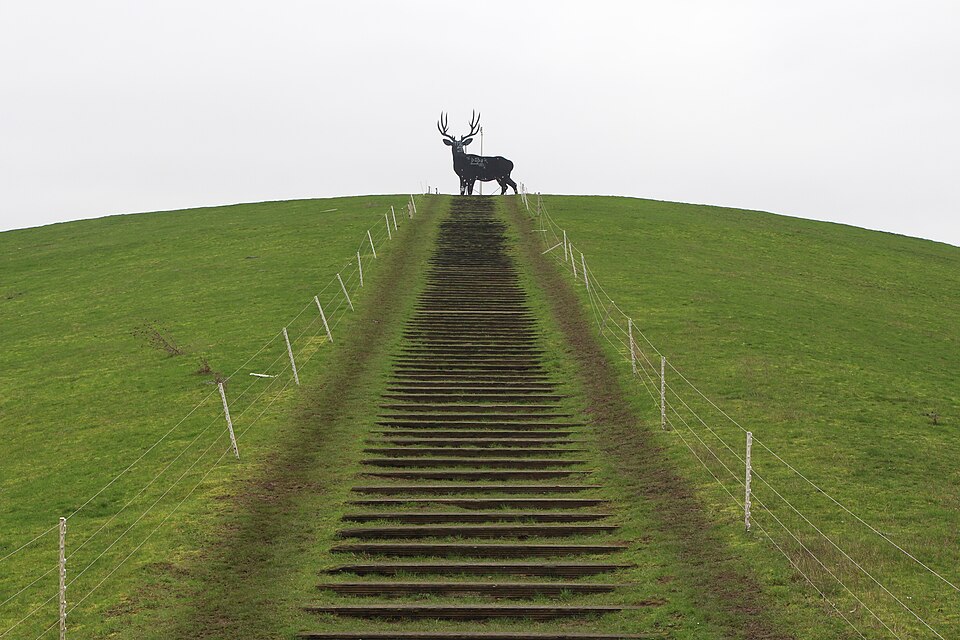 Rijnhert
