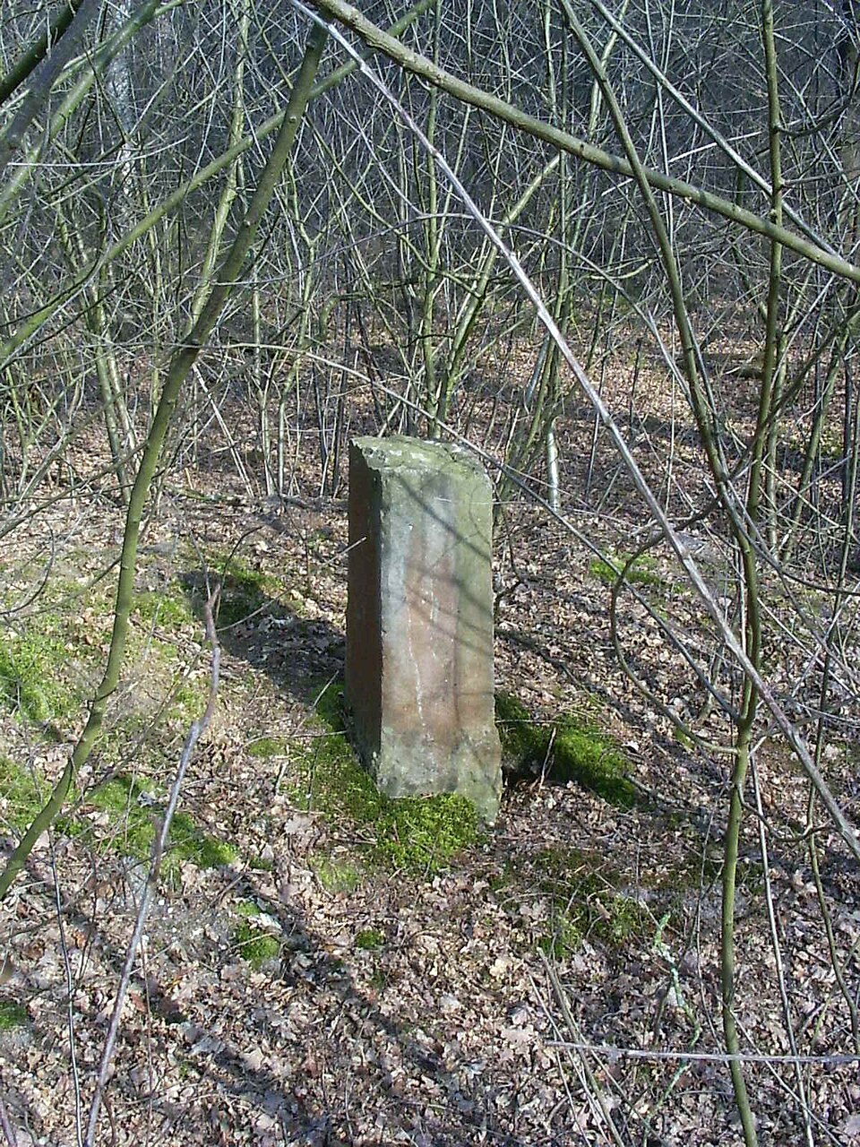 Lange Hut - Grijsoord
