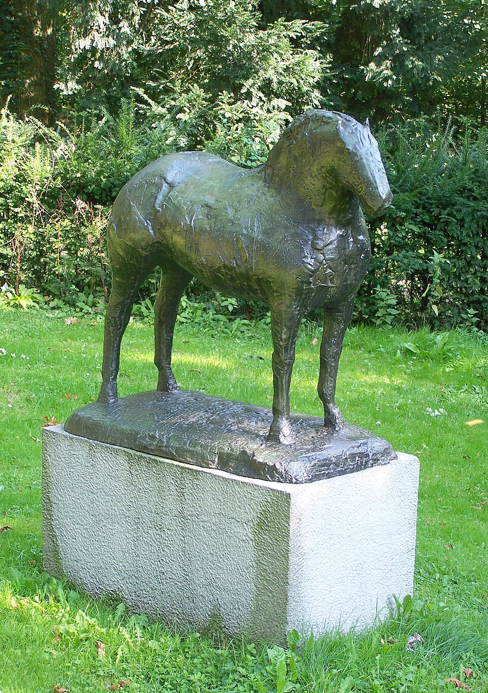 Paard