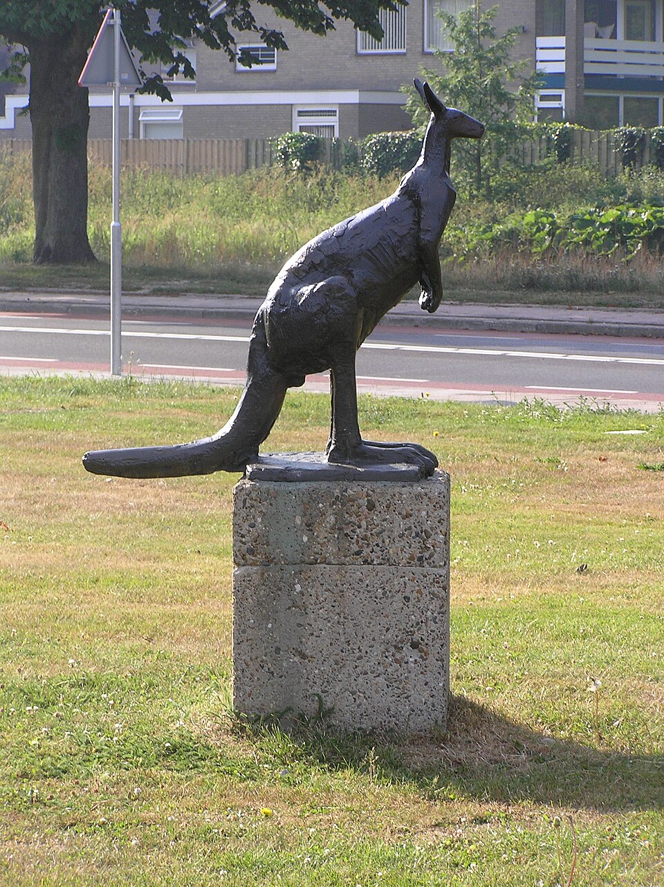 De Kangoeroe