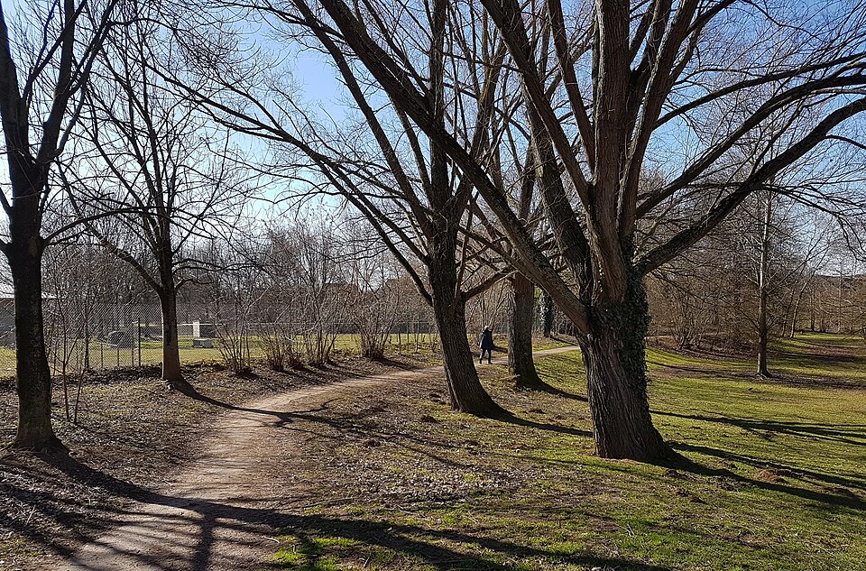 Randwyck Park