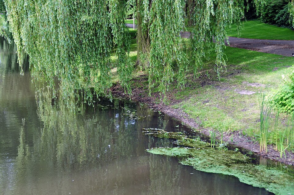 Dommelplantsoen