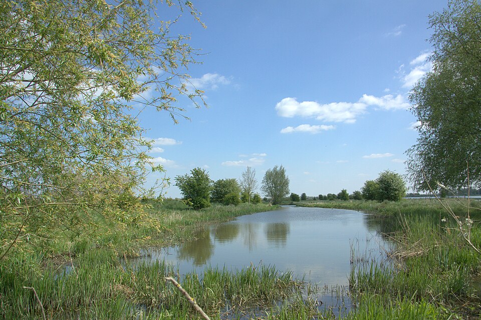 Steenwaard