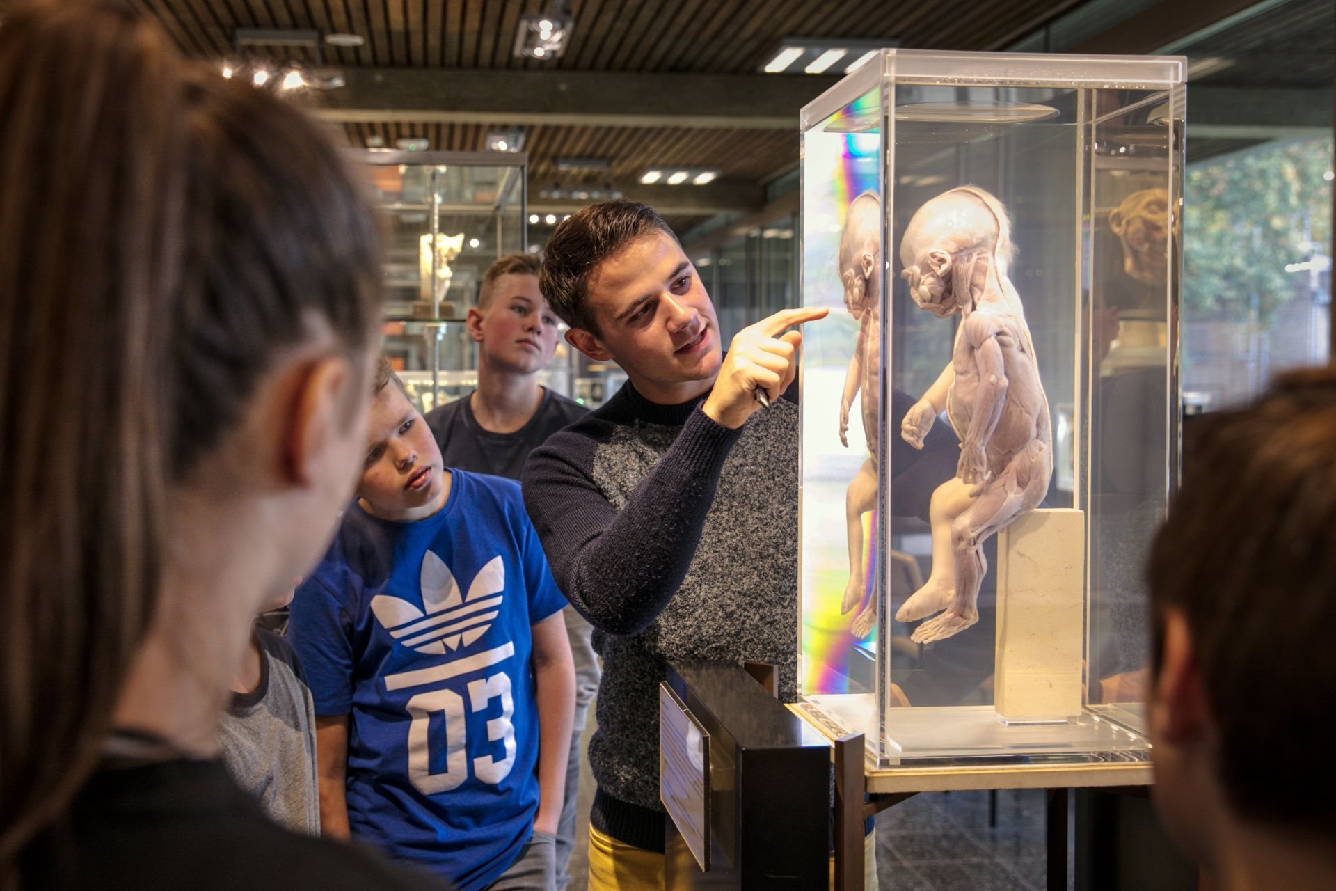 Anatomisch en Pathologisch Museum