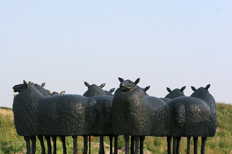 Groep schapen
