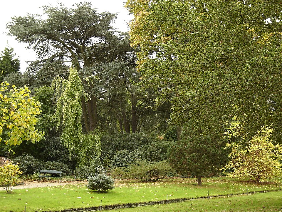 Arboretum Trompenburg
