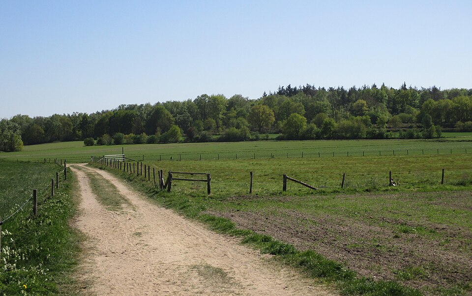 Laarsenberg