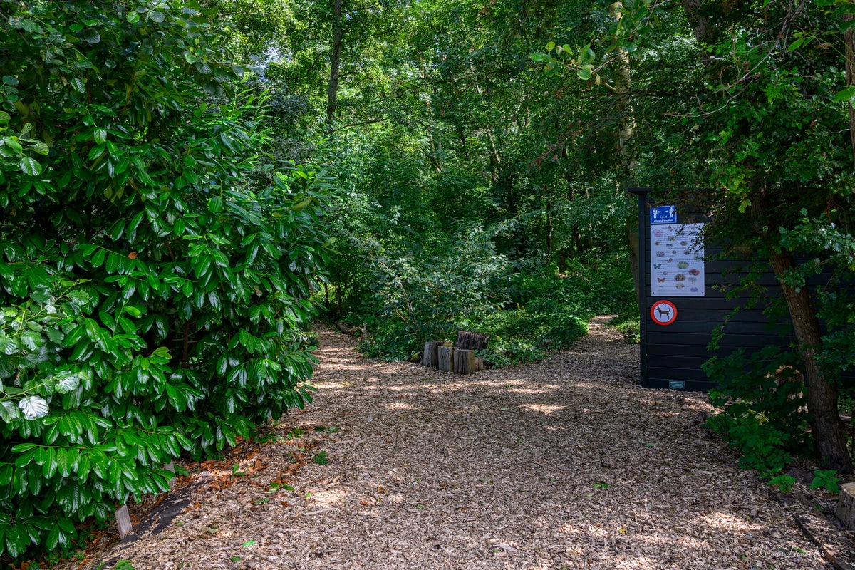 Heemtuin Capelle aan den IJssel