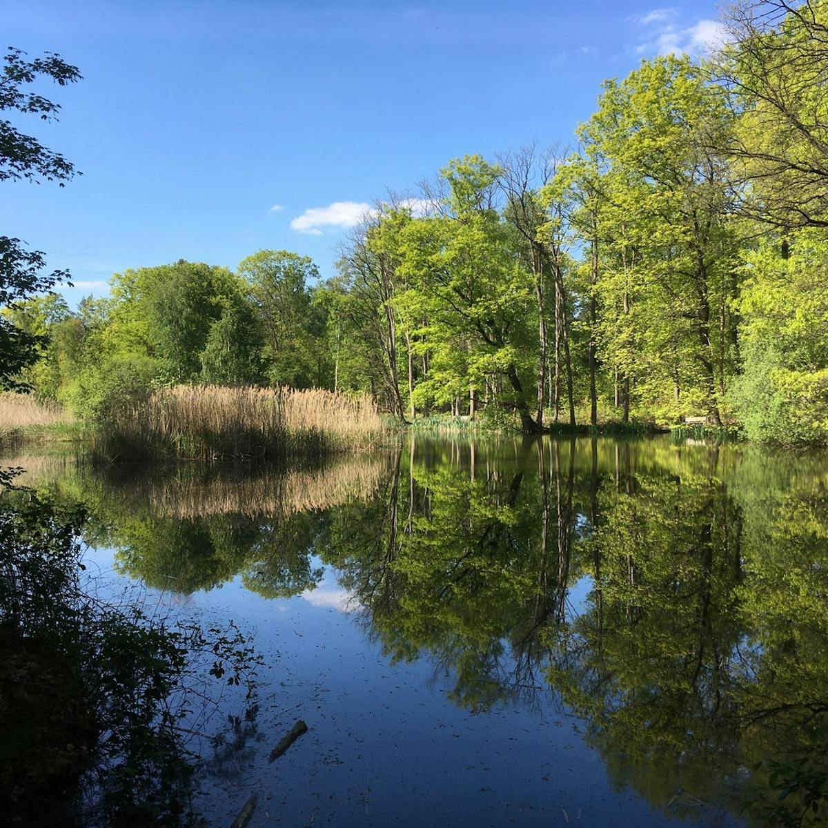 Vijverberg