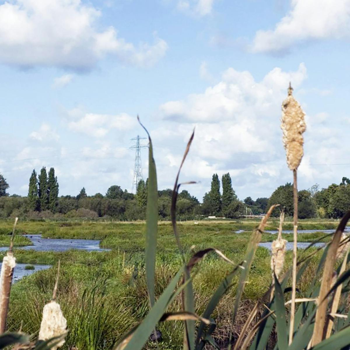 Polders van Poelgeest